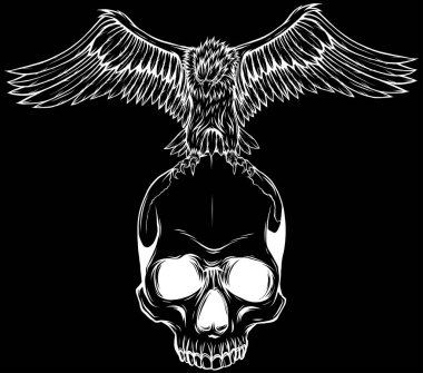 Geniş Kanatlı Kel Kartal Vektör Çizgisi