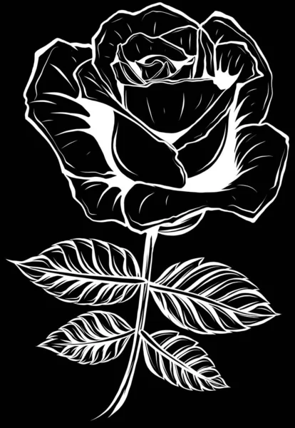 黒と白のバラのシルエット — ストックベクタ