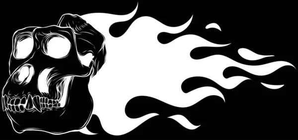 Crâne Singe Contour Noir Blanc — Image vectorielle