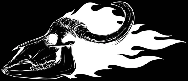 雄牛の頭蓋骨ベクトルアートアウトライン図 — ストックベクタ