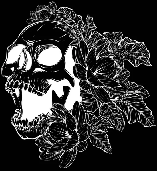 Contour Crâne Vectoriel Noir — Image vectorielle