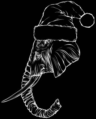 Siyah ve Beyaz Fil kafası