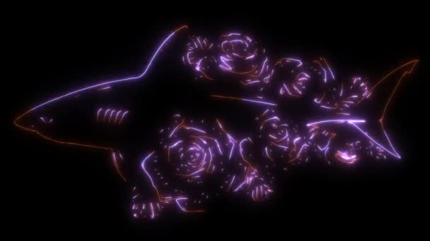 Відео Анімація Акули Трояндовою Квіткою — стокове відео