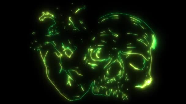 Video Animation Human Skull Heart — Wideo stockowe