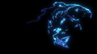 Alevli sazan balığının video animasyonu