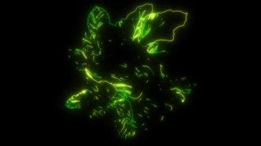 Aslan kafasının video animasyonu ve bileşimi