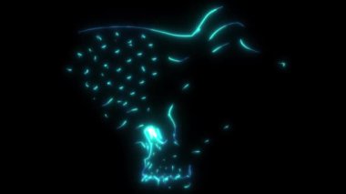 Kafatası ile Amerikan bayrağının video animasyonu