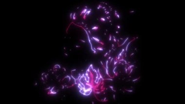 Asyalı Geyşa Kadın 'ın video animasyonu