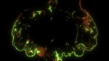 Yin yang sembollü iki kaplan başı animasyonu