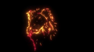 Saldırgan Ateş Aslanı Şefi 'nin video animasyonu
