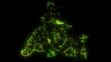 Motokros 'un gül yapraklı video animasyonu