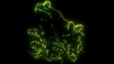 Yapraklı kurbağanın video animasyonu