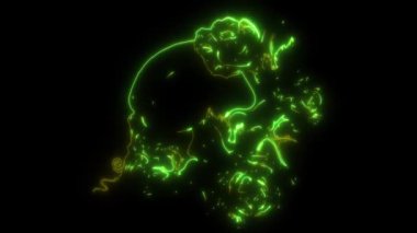 Güllü kafataslarının video animasyonu