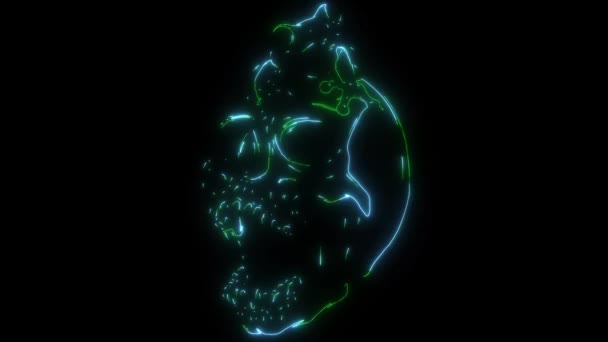青蛙在人类头骨上的影像动画 — 图库视频影像