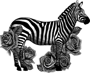 Gül çiçekli eli çizilmiş zebra
