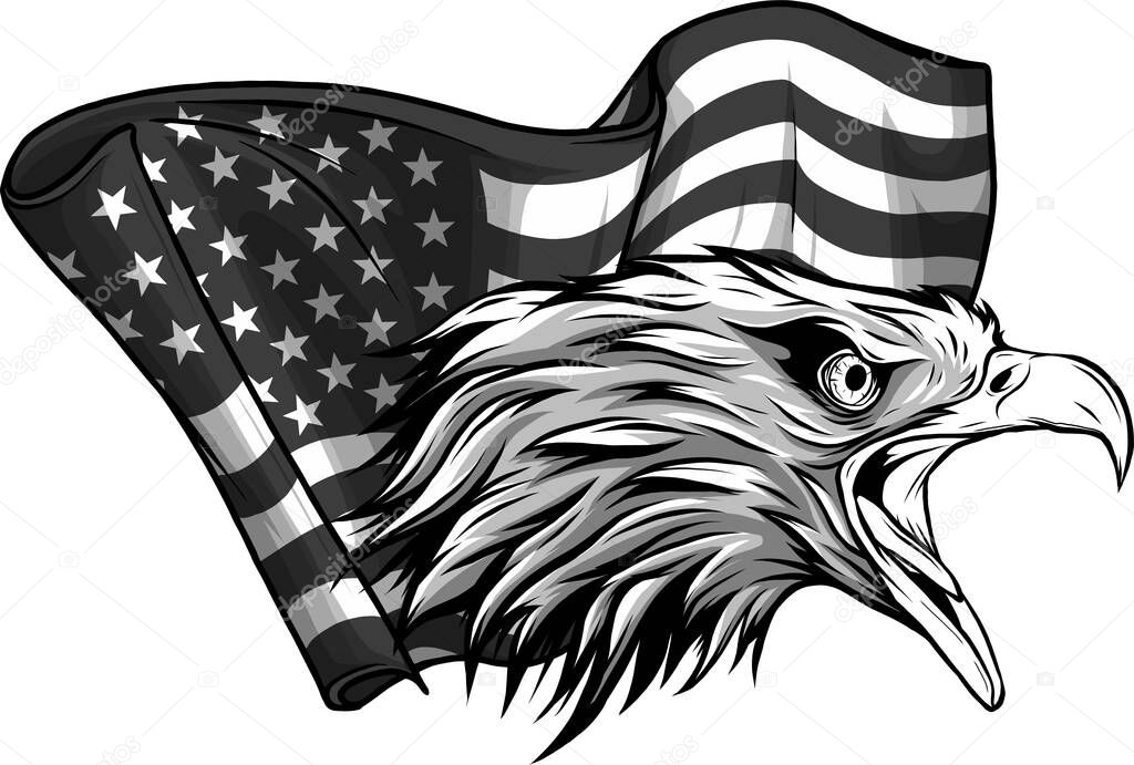 Eagle head for logo, american flag, simple illustration, mascot