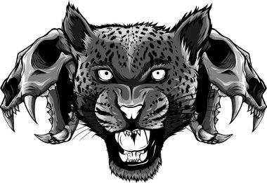 Beyaz arkaplanda izole edilmiş tek renkli Jaguar baş görünümü vektör çizimi