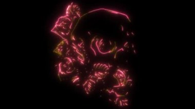 Dijital animasyon lazeri ve güzel güller.