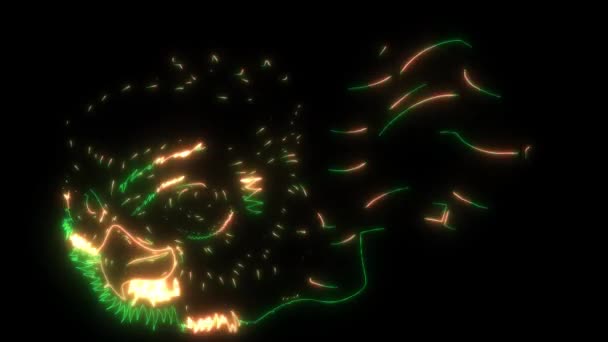 Digital Animation Laser Cartoon Owl Head — Stock Video