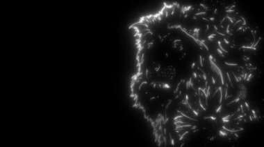 Aslan başı çizgisi neon tarzı