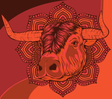 Beyaz arka planda vahşi bir boğa başı.