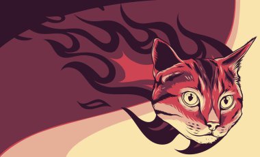 Kedi kafasının alevli hali