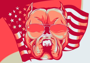 Amerikan Pitbull Terrier köpeği güneş gözlüğü takıyor - izole edilmiş vektör