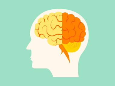 Human brain. Isolated vector. Concept of the human brain. Icon.