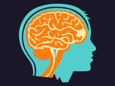 Yaratıcı Zihni serbest bırakmak. İnsan Beyni Anatomisinin Soyut Vektör İllüstrasyonu ve Eğitim ve Yenilik İçin Sembolik Tasarımlar. Simge.