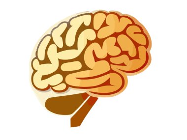 Human brain. Isolated vector. Concept of the human brain. Icon.