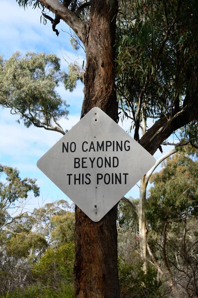 Sinal Sem Acampamento Uma Árvore Mato Austrália — Fotografia de Stock