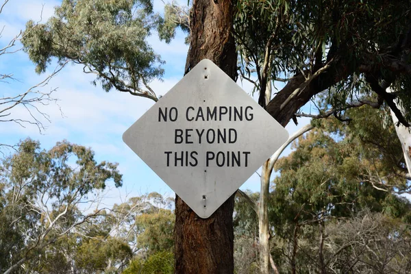 Ingen Campingskylt Ett Träd Stockbild