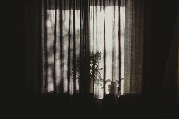 Slightly Blurred Illuminated Window Curtains Flower Pots Dark Black Background — Stock Photo, Image