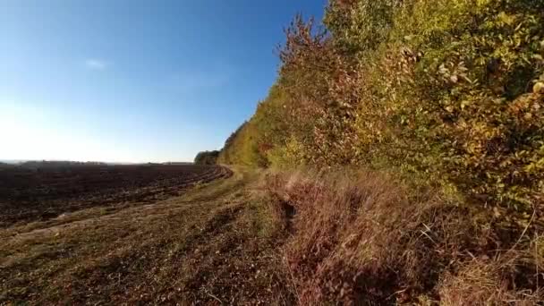 Campo Arado Contra Céu Solo Negro Floresta Outono — Vídeo de Stock