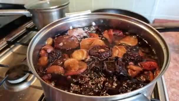 Gaz Ocağında Kurutulmuş Armut Elmadan Komposto Pişirmek Kaynama Kaynama Süreci — Stok video