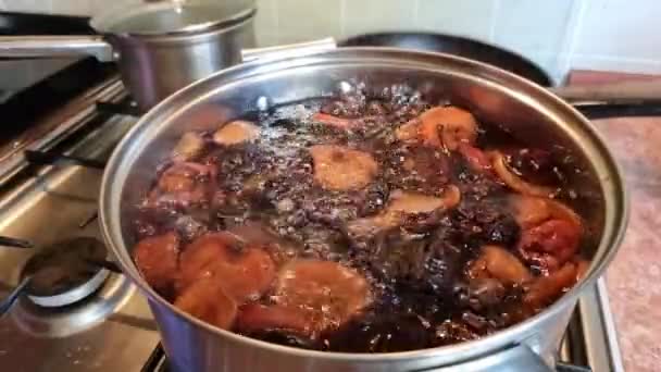 Kırmızı Frenk Üzümü Kurutulmuş Armut Elmanın Gaz Sobasında Hazırlanması Pişirme — Stok video