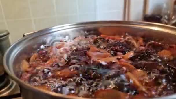 用烘干的苹果 红醋栗在煤气炉上的平底锅中烹调和煮沸的过程 — 图库视频影像