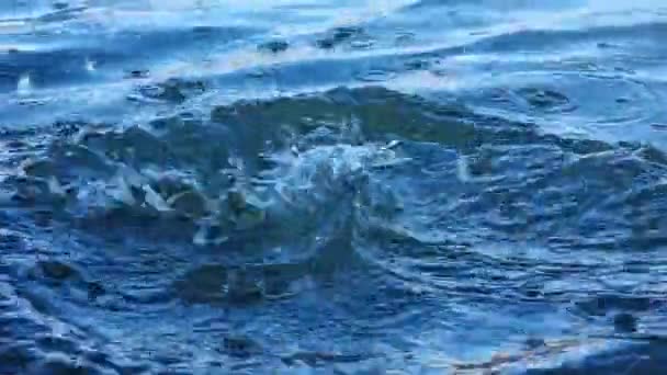 Nehre Atılan Çakıl Taşından Sıçrıyor Sıçrıyor Küçük Dalgalar Açık Sonbahar — Stok video