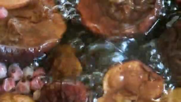Kurutulmuş Meyve Kompostosu Armut Elma Frenk Üzümü Yemek Pişirme Kaynama — Stok video