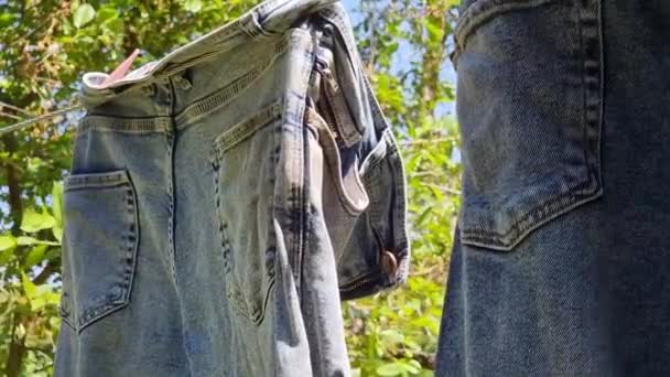 Wet Men Jeans Hanging Drying Wire Close Clear Sunny Weather — Stock Video