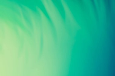 Palmiye yapraklarının gölgeleri yeşil-mavi arka planda. Soyutlama. Arkaplan