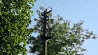 Yeşil bir ormanın dış mahallelerinde elektrik kabloları olan elektrik direği yaz aylarında ağaçların ve mavi gökyüzünün arka planına karşı..