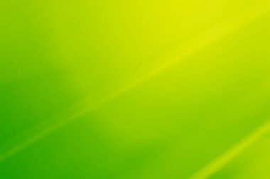 Soyut yatay yay yeşil arka plan, ışınları ve gradyanı, ışığı ve çözülmüş ışıkları var. Parlak tatil afişi. Tasarım elemanı. Uzayı kopyala Arkaplan