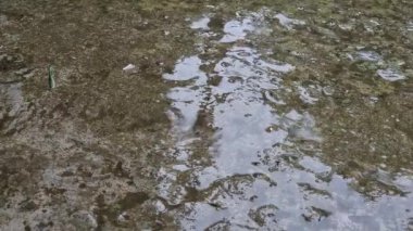 Beton zemine düşen yağmur damlaları, ıslak asfalt. Yağmurlu hava.