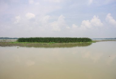 It's a photo of Green Island in river.