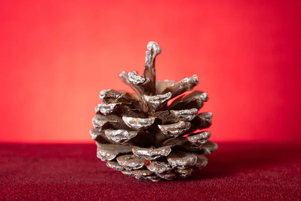 Pinecone Red Background — Stock Photo, Image