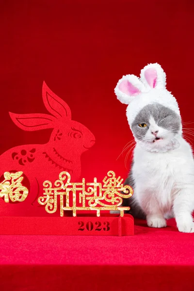 Симпатичная Кошка Носит Шляпу Кроличьими Ушами Рядом Талисманом Китайского Нового — стоковое фото