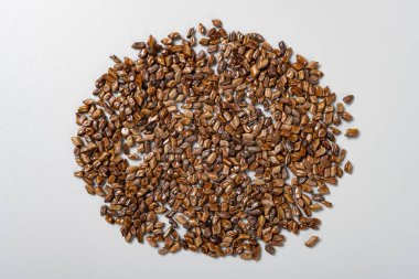 Üst görünüm bitkisi JueMingZi veya Cassiae Semen veya Sickle Senna Seed