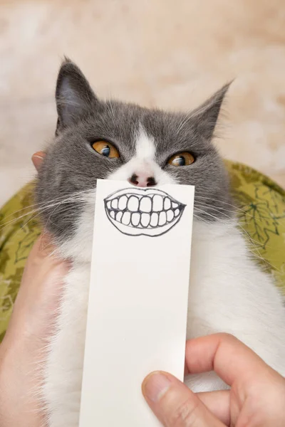 Katt Med Handritad Skiss Leende Mun Och Tänder — Stockfoto