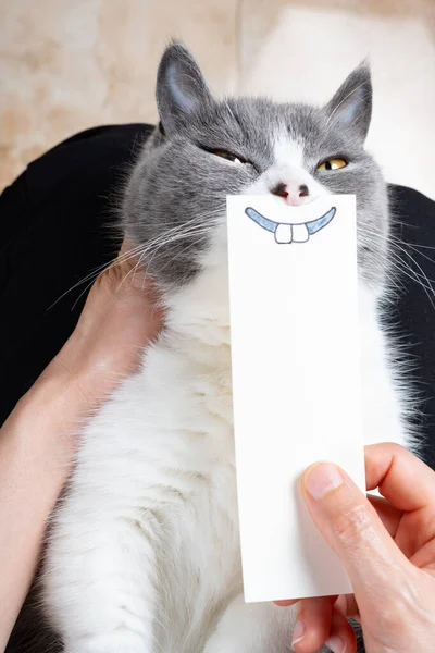 Katze Mit Handgezeichneter Skizze Eines Lachenden Mundes Mit Zwei Großen — Stockfoto